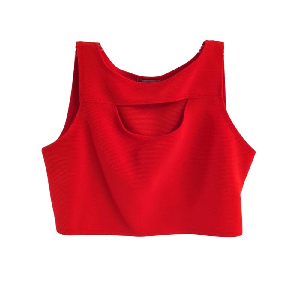 EUC Charlotte Russe Crop Top, L